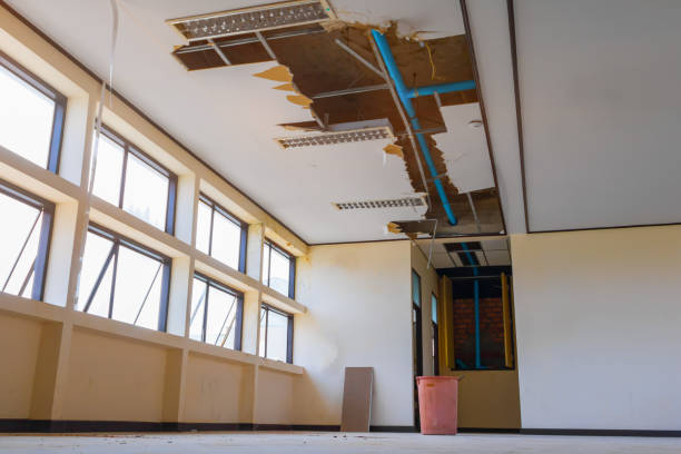 Best Ceiling water damage repair  in East Point, GA