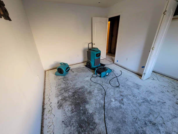 Best Mold removal after water damage  in East Point, GA