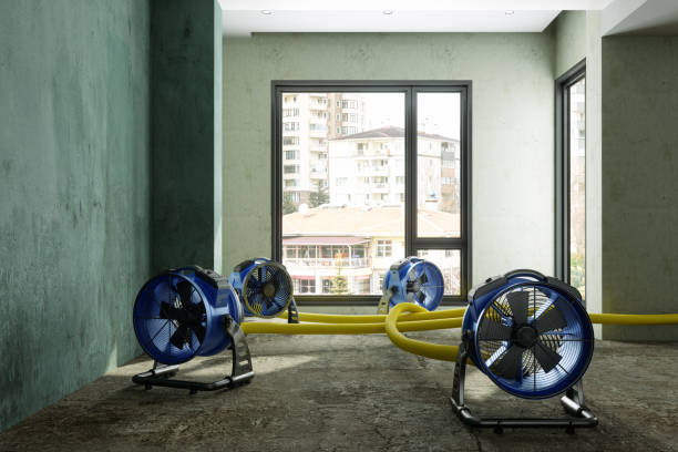 Best Fire Damage Restoration  in East Point, GA